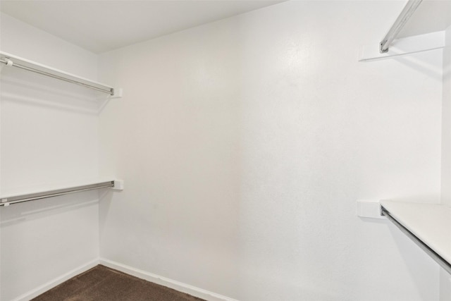 walk in closet with dark carpet