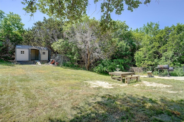 4916 Gooseberry Trl, Granbury, TX 76048 - view of yard with an outdoor structure