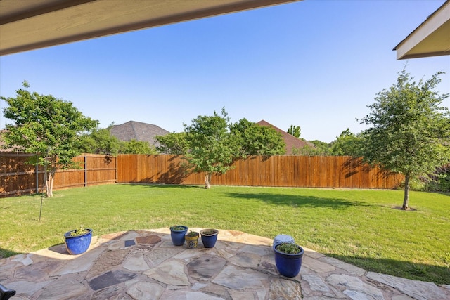 view of yard with a patio and a fenced backyard