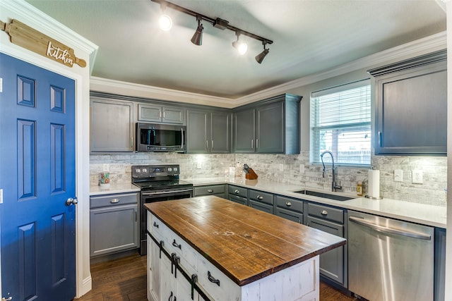4505 Pangolin Dr, Fort Worth, TX 76244 - kitchen with stainless steel appliances, a sink, dark wood-style flooring, gray cabinets, and wooden counters