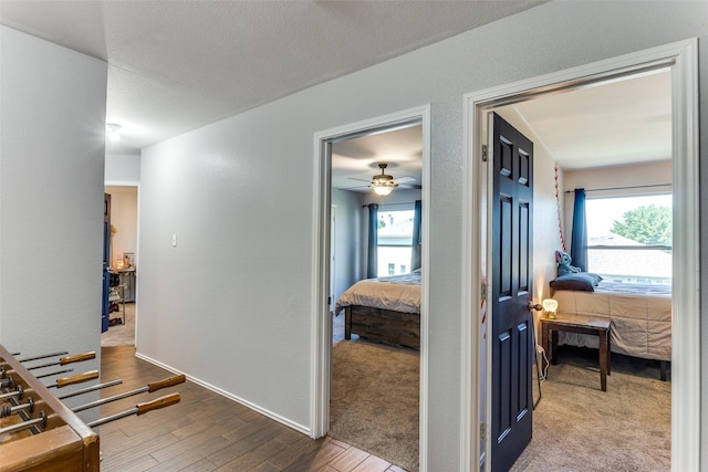 4505 Pangolin Dr, Fort Worth, TX 76244 - corridor featuring baseboards, a textured wall, wood finished floors, and plenty of natural light