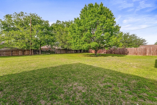 view of yard with a fenced backyard