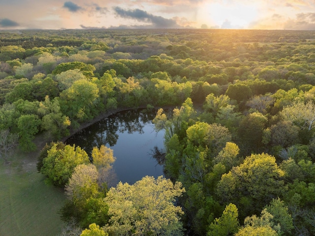 539 Smith Oak Rd, Sherman, TX 75090 - aerial view at dusk featuring a forest view