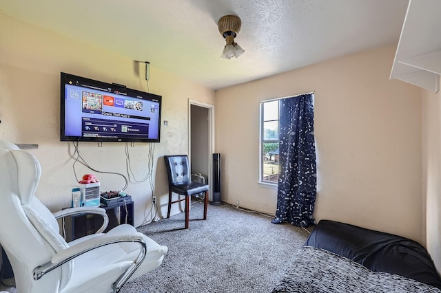 sitting room with carpet flooring