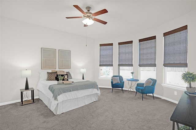3341 Man O War Rd, Celina, TX 75009 - bedroom featuring carpet flooring, multiple windows, and baseboards