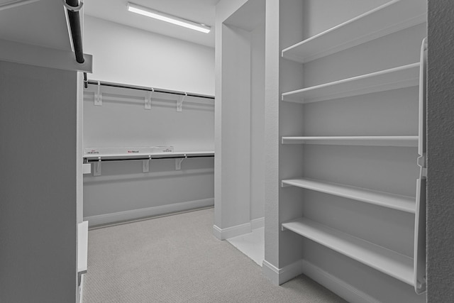 walk in closet featuring carpet