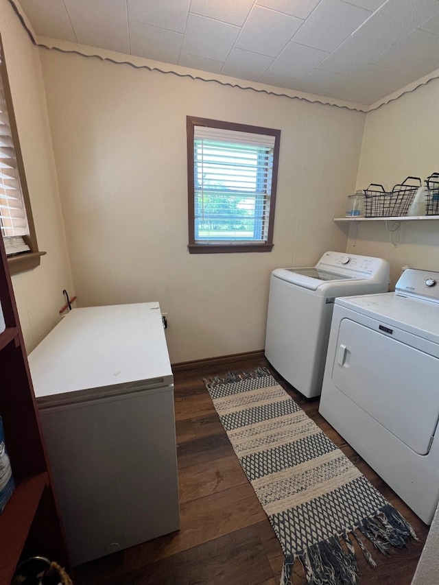 laundry area featuring dark wood-style flooring, baseboards, washer and dryer, and laundry area