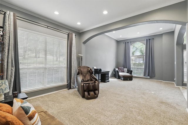 805 Red Oak Ct, Crowley, TX 76036 - living area featuring arched walkways, carpet flooring, baseboards, recessed lighting, and crown molding