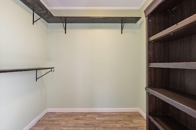 spacious closet featuring wood finished floors