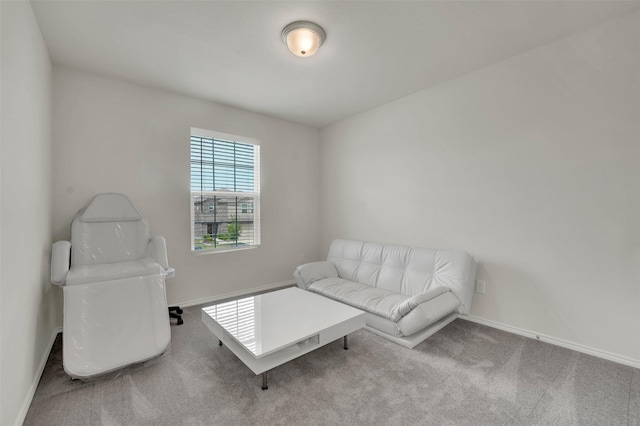 1335 Panorama Dr, Forney, TX 75126 - carpeted living area with baseboards