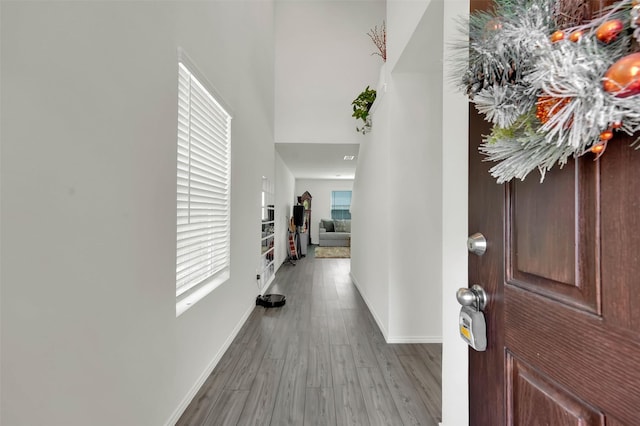 1335 Panorama Dr, Forney, TX 75126 - interior space with baseboards and wood finished floors