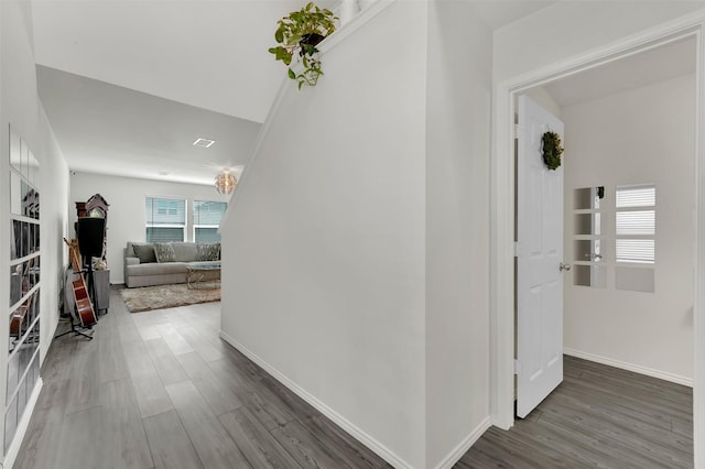 1335 Panorama Dr, Forney, TX 75126 - hall featuring wood finished floors and baseboards