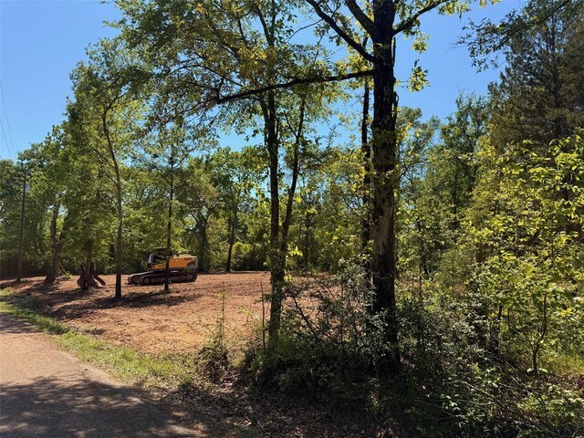 159 Vista Dr, Eustace, TX 75124