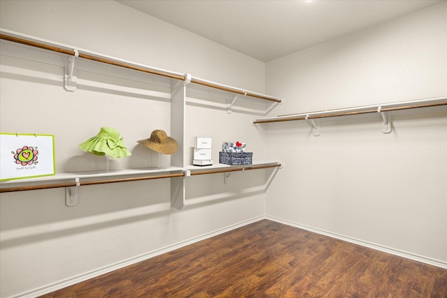 1509 Salado Trl, Weatherford, TX 76087 - walk in closet featuring dark wood-style floors