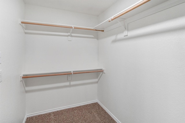 spacious closet with carpet