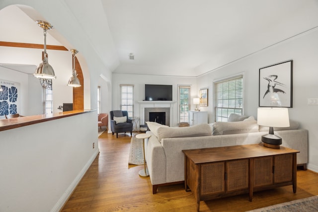 living area featuring light wood finished floors, plenty of natural light, baseboards, and a fireplace
