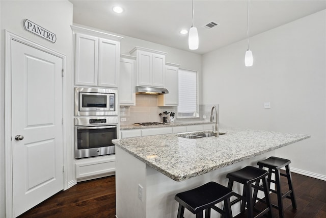 1811 Morning Mist Way, Wylie, TX 75098 - kitchen featuring appliances with stainless steel finishes, a sink, under cabinet range hood, dark wood-style floors, and backsplash