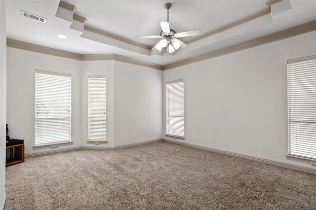 spare room with carpet floors, ornamental molding, a raised ceiling, and a wealth of natural light