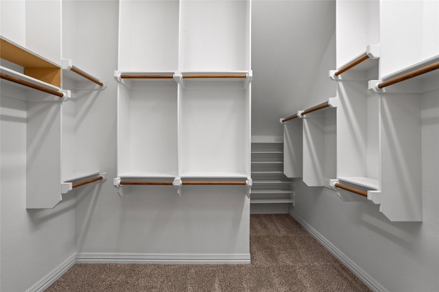 spacious closet featuring carpet floors