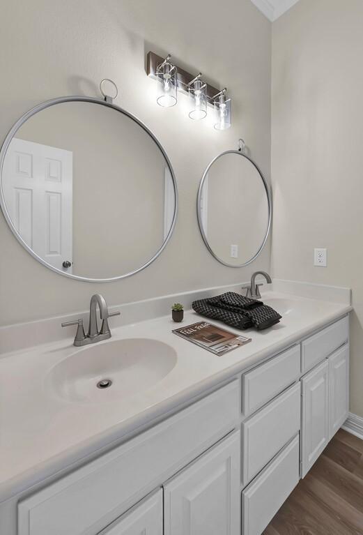 bathroom with wood finished floors, a sink, and double vanity
