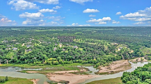 bird's eye view with a view of trees