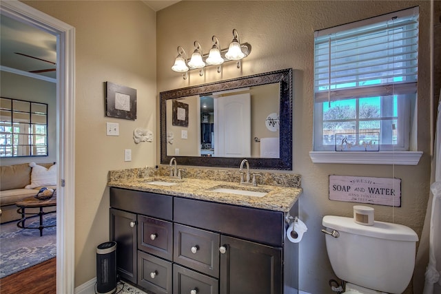 full bathroom with toilet, double vanity, and a sink