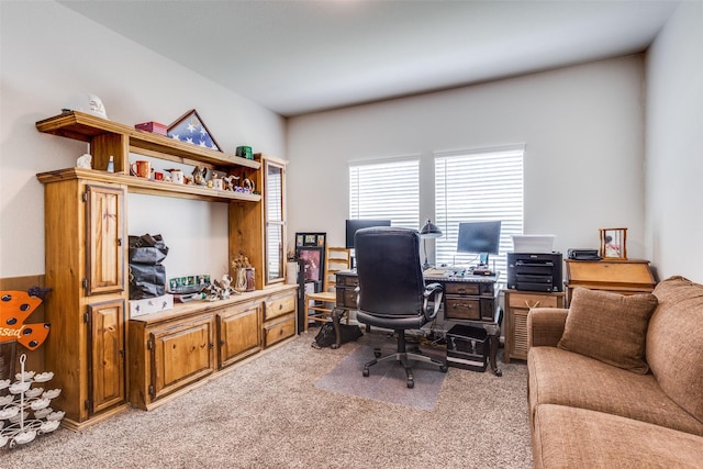 office with light carpet