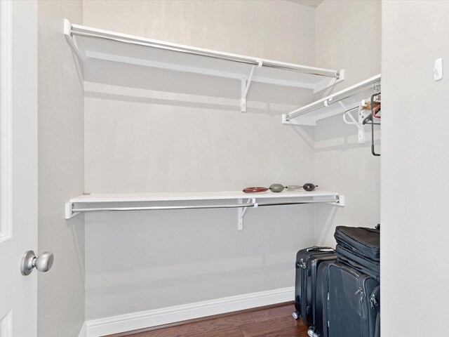 spacious closet featuring dark wood finished floors