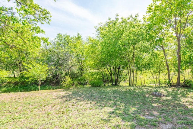 503 W College St, Rising Star, TX 76471 - view of yard
