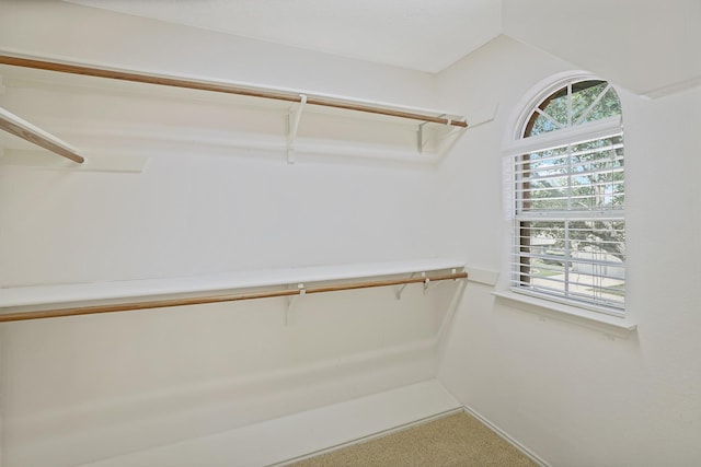 2313 Suntree, Flower Mound, TX 75022 - spacious closet featuring carpet flooring