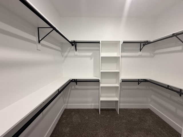 walk in closet with dark carpet