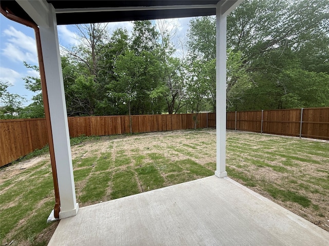 view of yard with a patio area and a fenced backyard