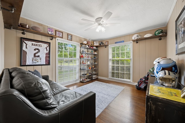 living area with a ceiling fan, crown molding, and plenty of natural light