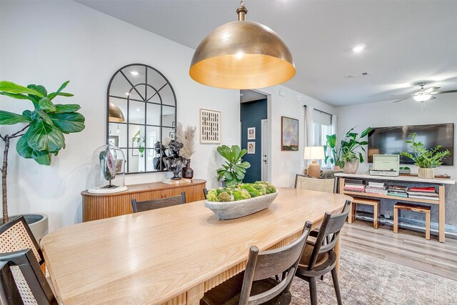 dining space with visible vents, a ceiling fan, and wood finished floors