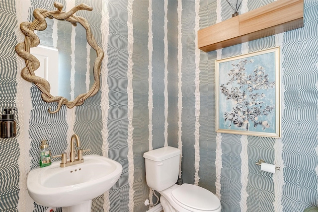 half bathroom featuring a sink and toilet