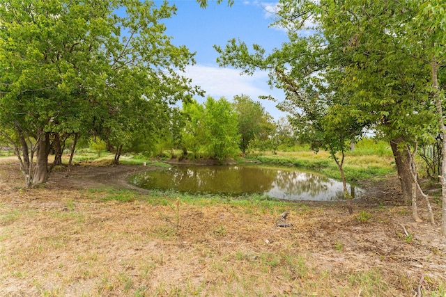 view of water feature