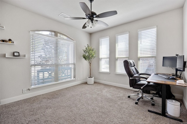 10205 Fox Springs Dr, Fort Worth, TX 76131 - office space with healthy amount of natural light, a ceiling fan, carpet, and baseboards