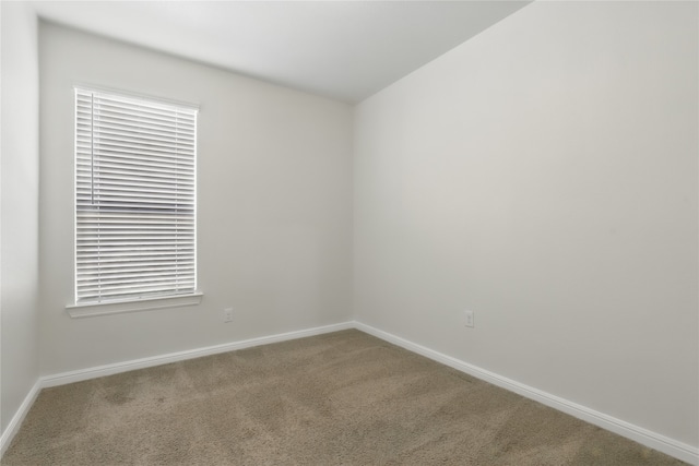spare room featuring baseboards and carpet floors