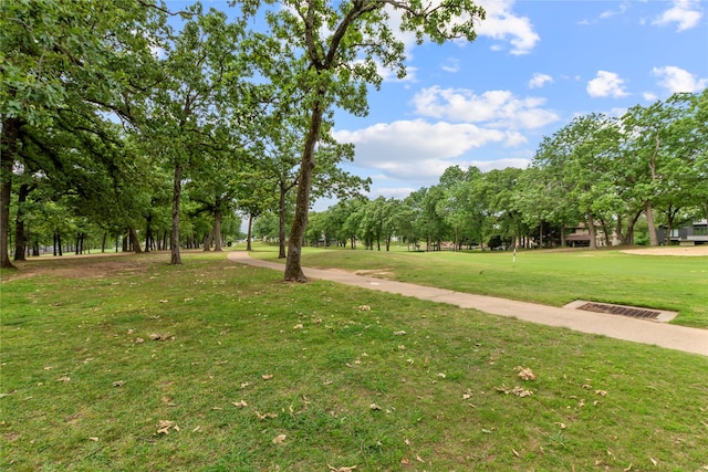 view of community with a lawn