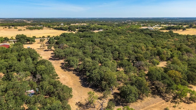 6424 County Road 176, Stephenville, TX 76401 - bird's eye view featuring a view of trees