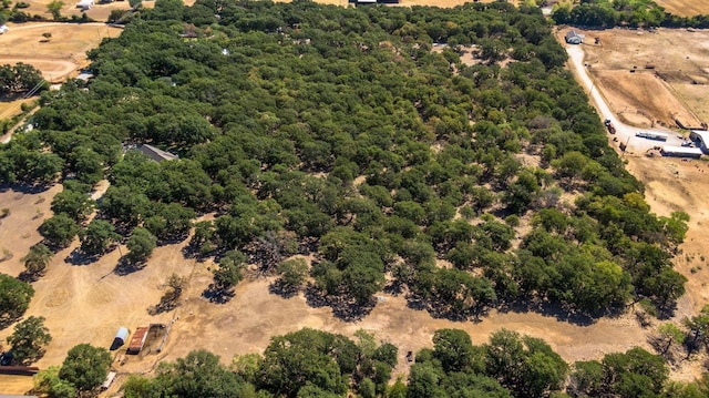 6424 County Road 176, Stephenville, TX 76401 - birds eye view of property