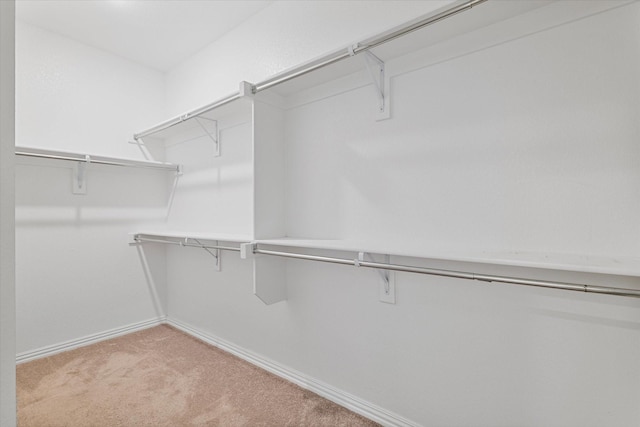 spacious closet with light colored carpet