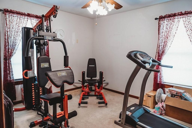 exercise area with carpet, baseboards, and ceiling fan