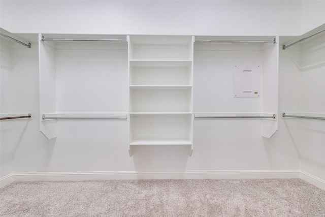spacious closet with carpet