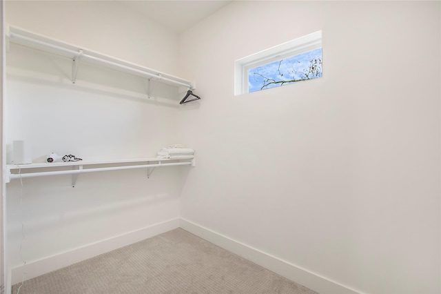 spacious closet with light colored carpet