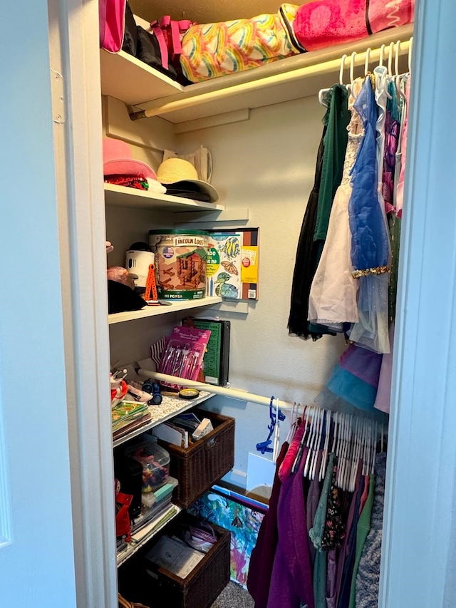 view of closet