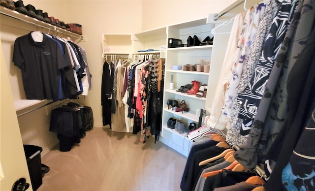 walk in closet with carpet floors