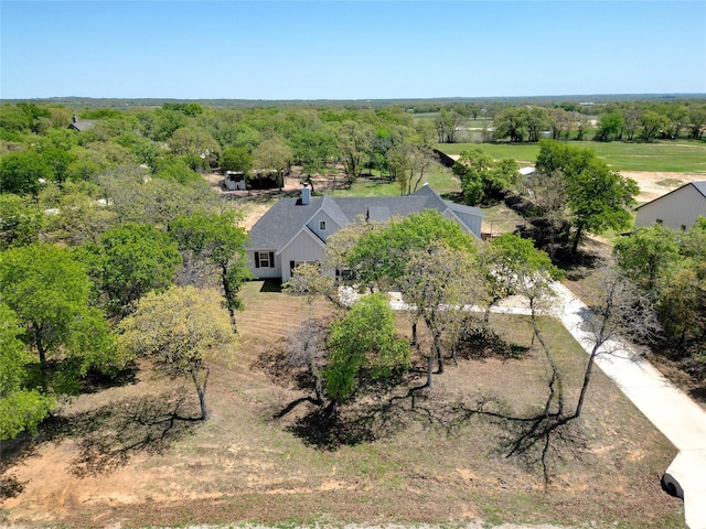 bird's eye view