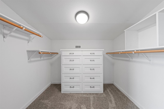 walk in closet featuring visible vents and carpet flooring