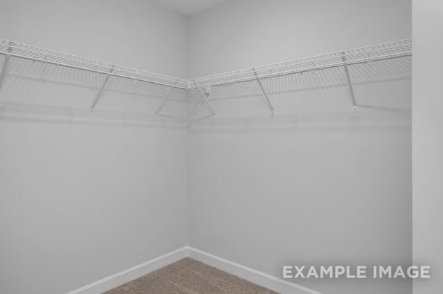 1717 Zachary Ave, Wylie, TX 75098 - spacious closet with carpet